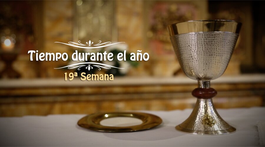 Imagen del contenido XIV Domingo del Tiempo durante el Año | Celebración de la Santa Misa