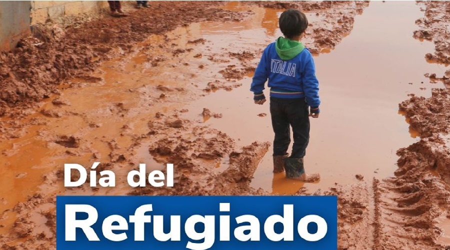 Imagen del contenido CEMI | Qué podemos hacer... y qué debemos dejar de hacer