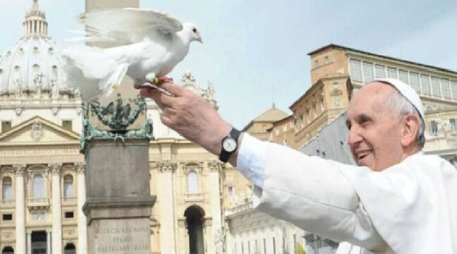 Imagen del contenido Mensaje del Papa Francisco para la 58ma Jornada Mundial de Paz