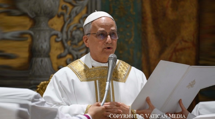 Imagen del contenido Homilía del Papa León XIV en la Santa Misa Pro Ecclesia