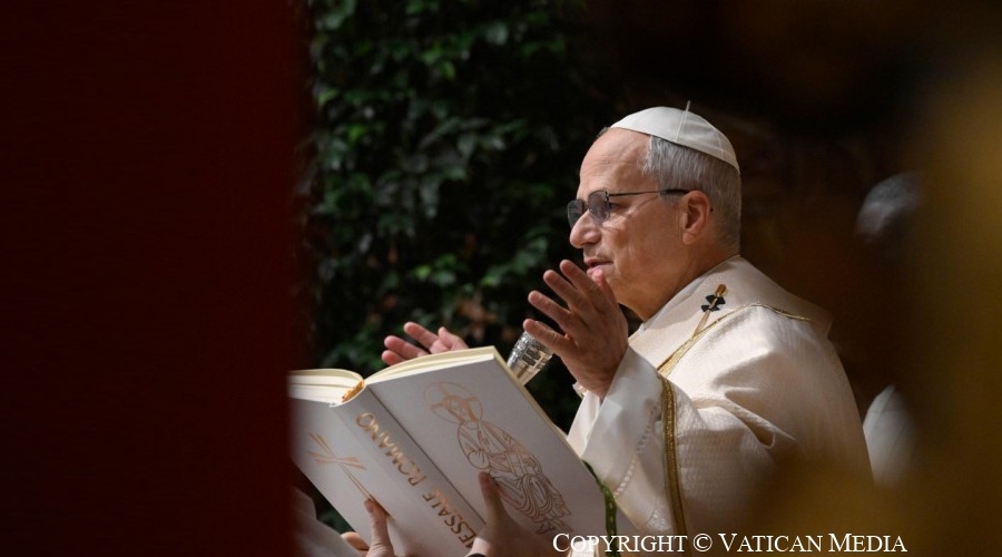 Imagen del contenido Homilía del Papa León XIV en la Santa Misa en ocasión del Consistorio extraordinario